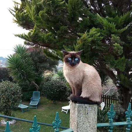 Dom wakacyjny Casa Covelino