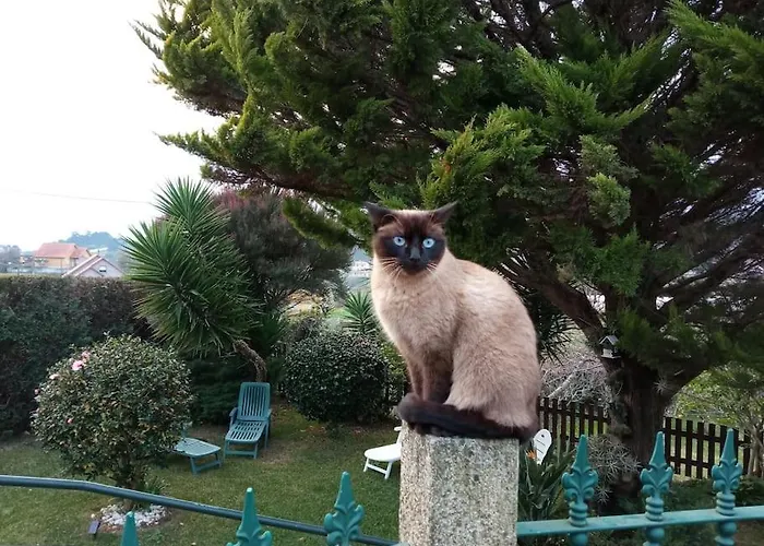 בית נופש Casa Covelino